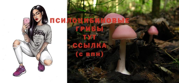 а пвп мука Семёнов