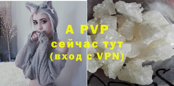 ГАЛЛЮЦИНОГЕННЫЕ ГРИБЫ Семилуки