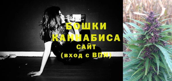 ГАЛЛЮЦИНОГЕННЫЕ ГРИБЫ Семилуки