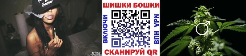Купить  Данков  Бошки Шишки семена 